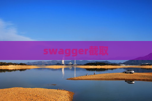 swagger截取